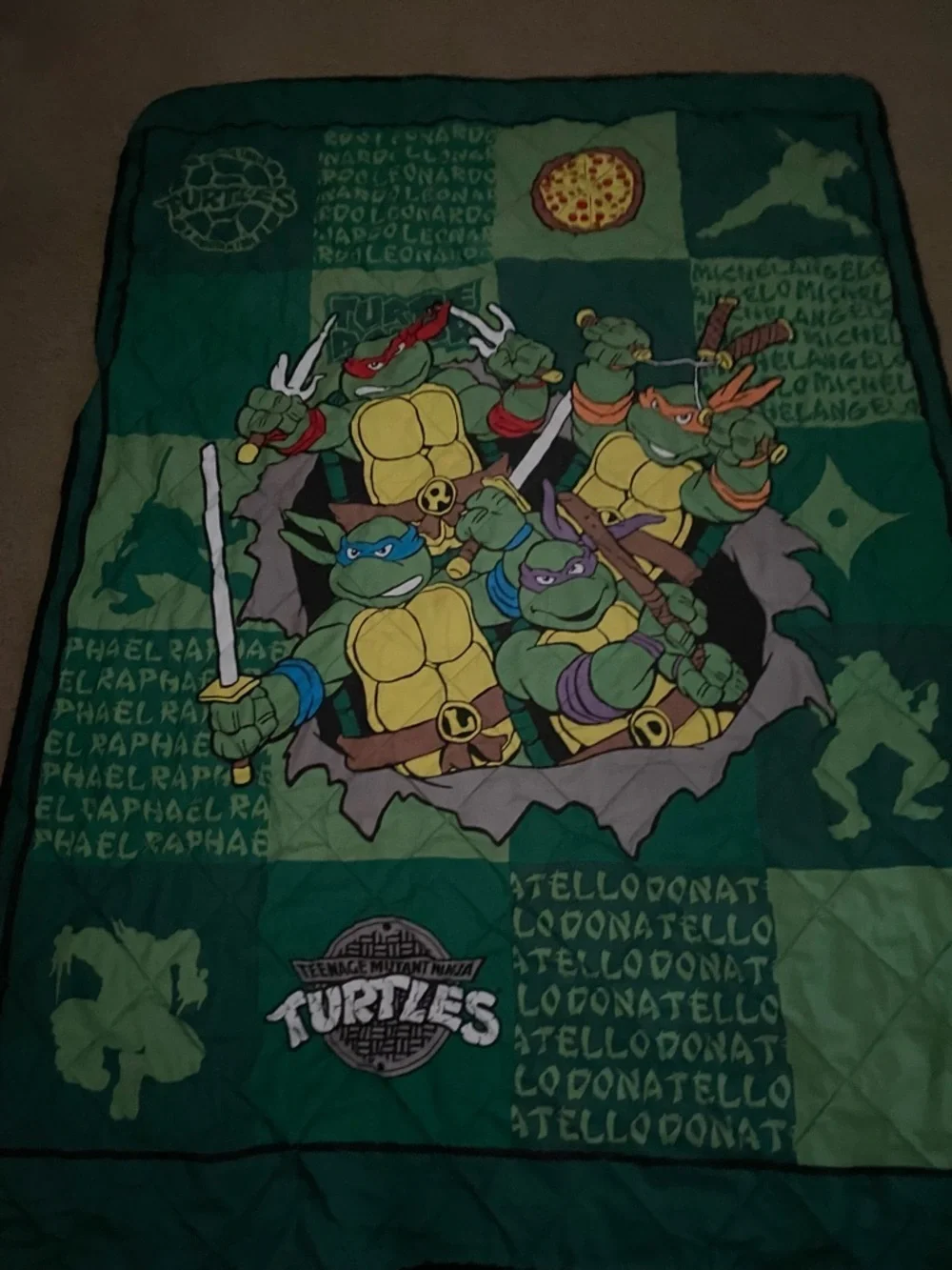 Teen Age Ninja Turtles 2015 nickelodeon